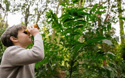 Wildlife Explorers at Mount Tomah 