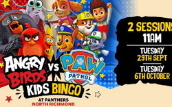Angry Birds vs Paw Patrol Kids Bingo