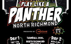 Play Like a Panther Holiday Clinic