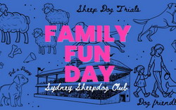 Family Fun Day at DogPro 3 Sheep Championship Trial