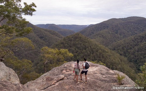 Vale of Avoca